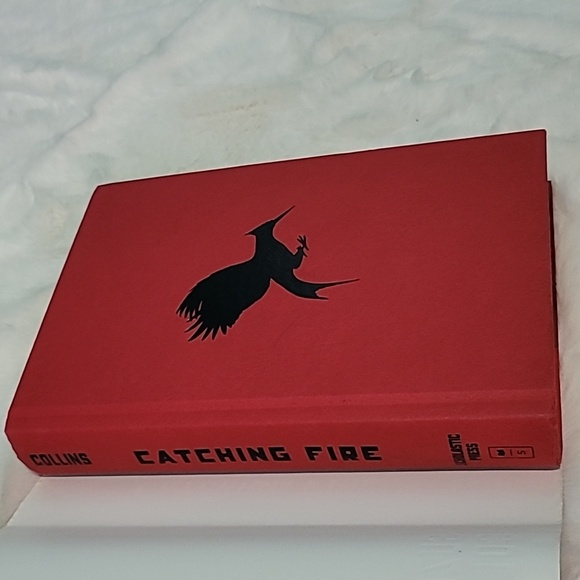 Catching Fire - Picture 4 of 5